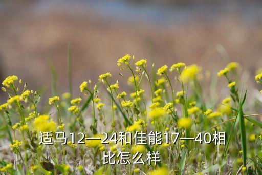  适马12—24和佳能17—40相比怎么样