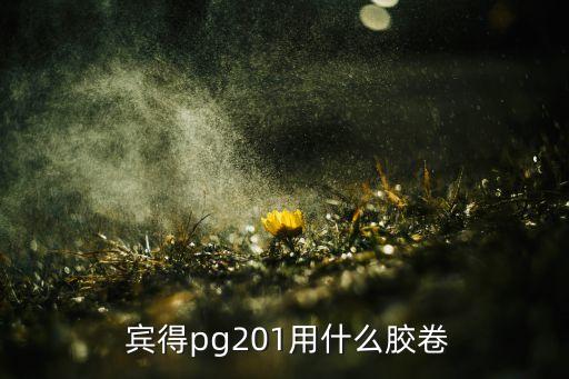  宾得pg201用什么胶卷