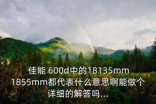  佳能 600d中的18135mm1855mm都代表什么意思啊能做个详细的解答吗...