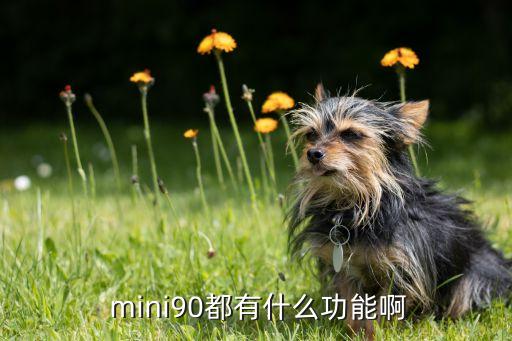  mini90都有什么功能啊