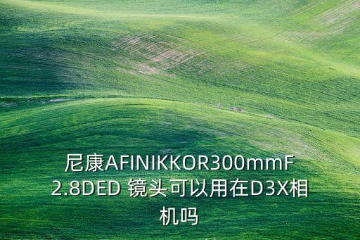 尼康AFINIKKOR300mmF2.8DED 镜头可以用在D3X相机吗