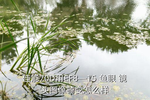 佳能70D用EF8—15 鱼眼 镜头图像畸变怎么样