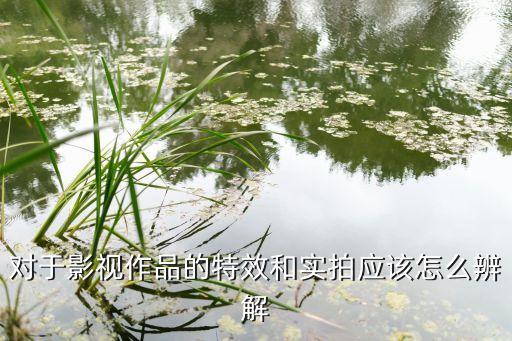 对于影视作品的特效和实拍应该怎么辨解