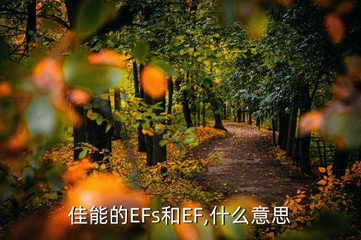 佳能的EFs和EF,什么意思