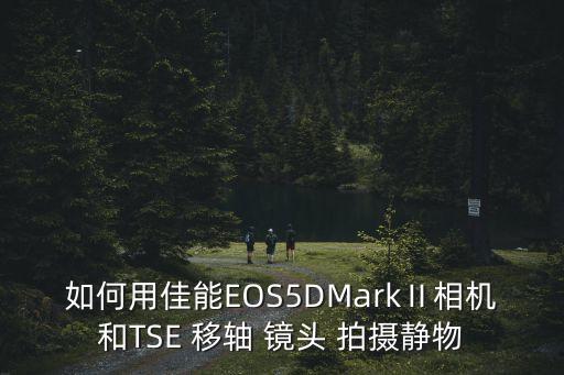 如何用佳能EOS5DMarkⅡ相机和TSE 移轴 镜头 拍摄静物