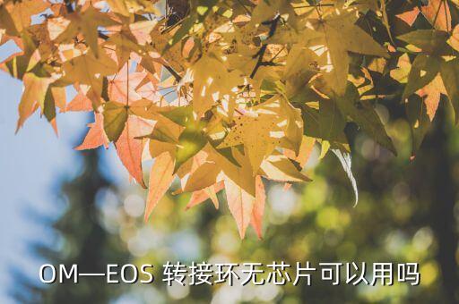 OM—EOS 转接环无芯片可以用吗