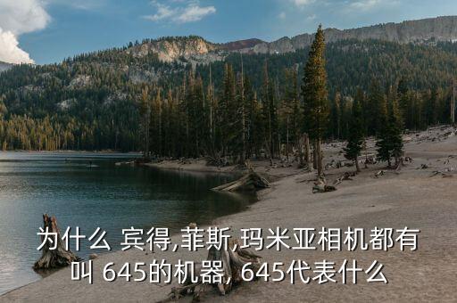 为什么 宾得,菲斯,玛米亚相机都有叫 645的机器, 645代表什么