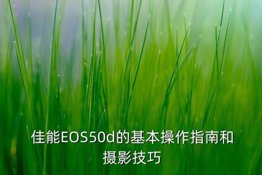  佳能EOS50d的基本操作指南和 摄影技巧