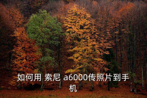 如何用 索尼 a6000传照片到手机