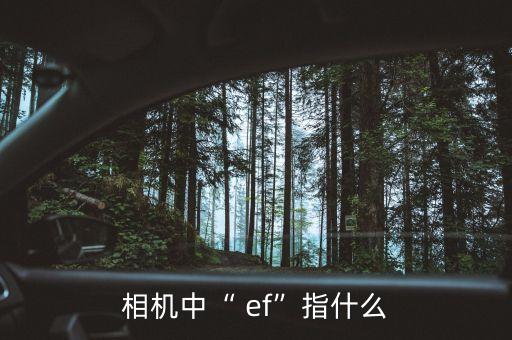 相机中“ ef”指什么