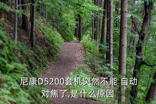  尼康D5200套机突然不能 自动对焦了,是什么原因