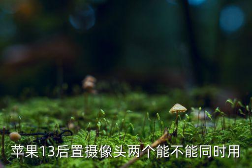 苹果13后置摄像头两个能不能同时用