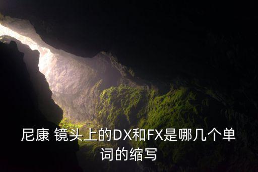 尼康 镜头上的DX和FX是哪几个单词的缩写