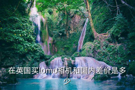 在英国买lomo相机和国内差价是多少