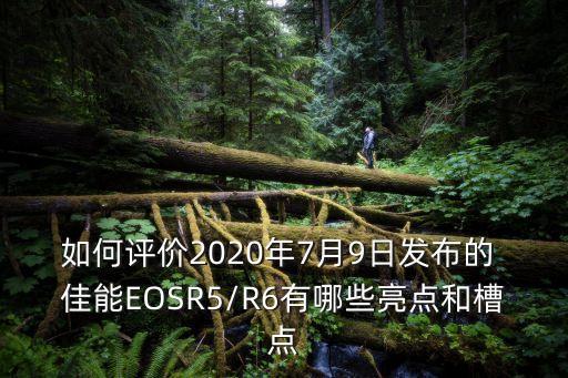 如何评价2020年7月9日发布的 佳能EOSR5/R6有哪些亮点和槽点