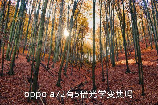 oppo a72有5倍光学变焦吗