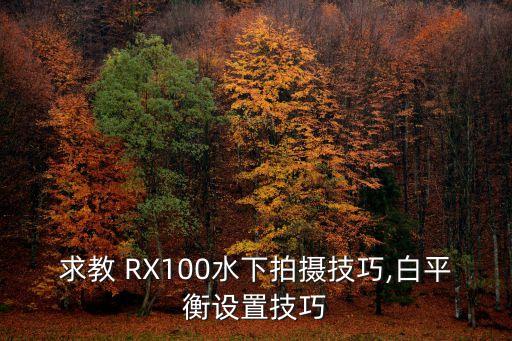 求教 RX100水下拍摄技巧,白平衡设置技巧