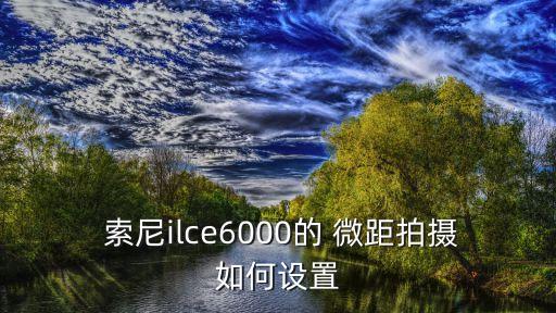  索尼ilce6000的 微距拍摄如何设置