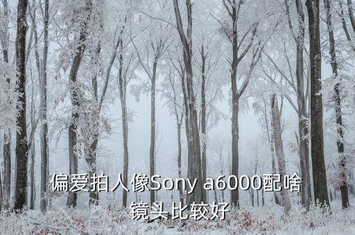 偏爱拍人像Sony a6000配啥 镜头比较好