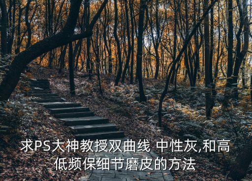 求PS大神教授双曲线 中性灰,和高低频保细节磨皮的方法