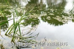 市内拍摄灯光技巧,室内拍照需要学习哪些照明技