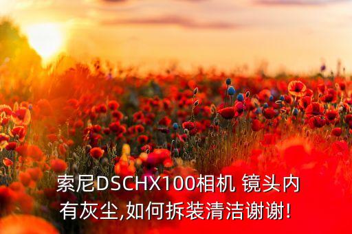  索尼DSCHX100相机 镜头内有灰尘,如何拆装清洁谢谢!