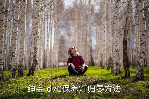 绅宝 d70保养灯归零方法