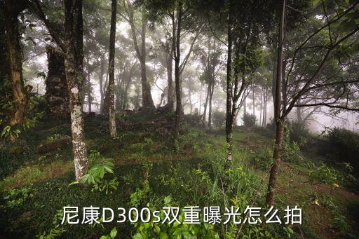  尼康D300s双重曝光怎么拍