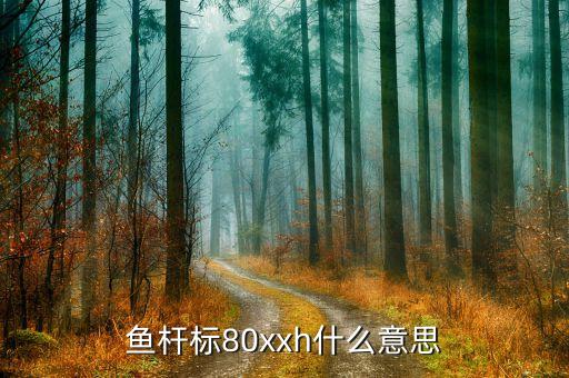 鱼杆标80xxh什么意思