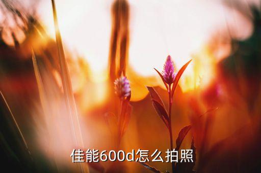  佳能600d怎么拍照