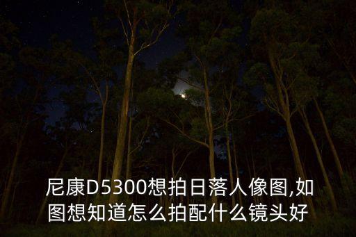  尼康D5300想拍日落人像图,如图想知道怎么拍配什么镜头好