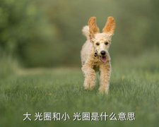 大光圈和小光圈镜头的区别