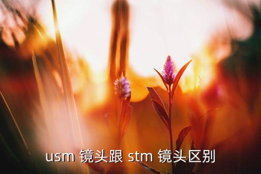 usm 镜头跟 stm 镜头区别