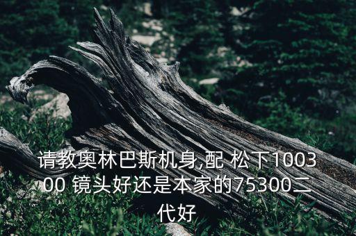 请教奥林巴斯机身,配 松下100300 镜头好还是本家的75300二代好