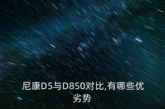 尼康d5与D500的区别