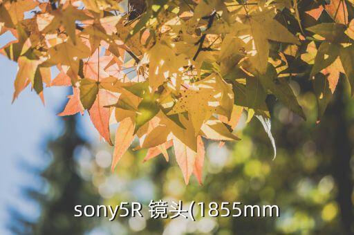 sony5R 镜头(1855mm