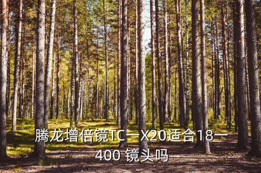  腾龙增倍镜TC一X20适合18一 400 镜头吗