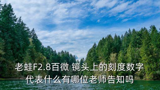 老蛙F2.8百微 镜头上的刻度数字代表什么有哪位老师告知吗