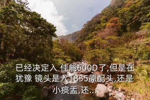 已经决定入 佳能600D了,但是在犹豫 镜头是入1855原配头,还是小痰盂,还...