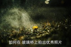 拍照技巧玻璃,合肥摄影学校教你如何减少逆光拍