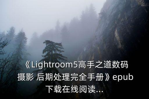 《Lightroom5高手之道数码 摄影 后期处理完全手册》epub下载在线阅读...