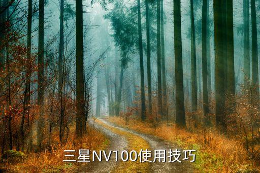 三星NV100使用技巧