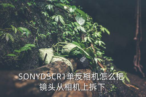 SONYDSCR1单反相机怎么把 镜头从相机上拆下