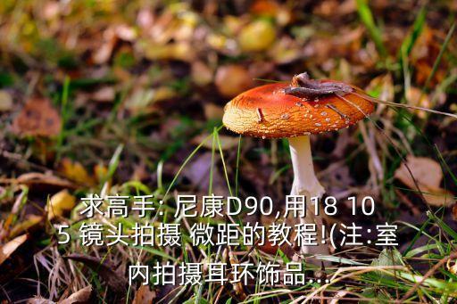 求高手: 尼康D90,用18 105 镜头拍摄 微距的教程!(注:室内拍摄耳环饰品...