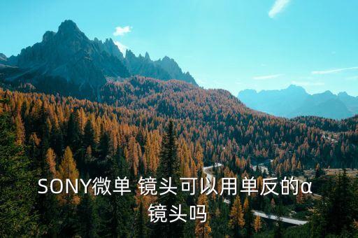 SONY微单 镜头可以用单反的α 镜头吗