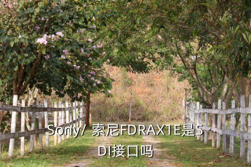 Sony/ 索尼FDRAX1E是SDI接口吗