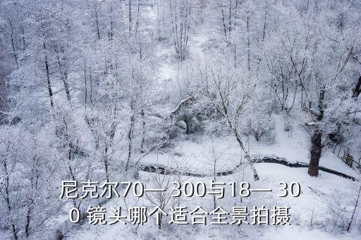 尼克尔70— 300与18— 300 镜头哪个适合全景拍摄