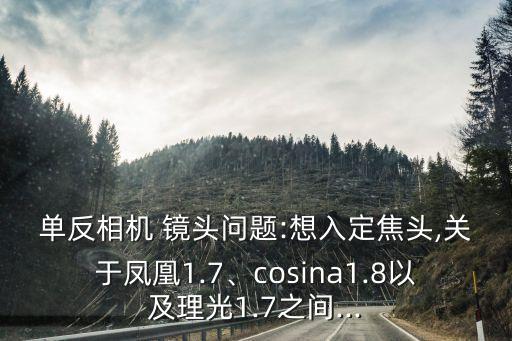 单反相机 镜头问题:想入定焦头,关于凤凰1.7、cosina1.8以及理光1.7之间...