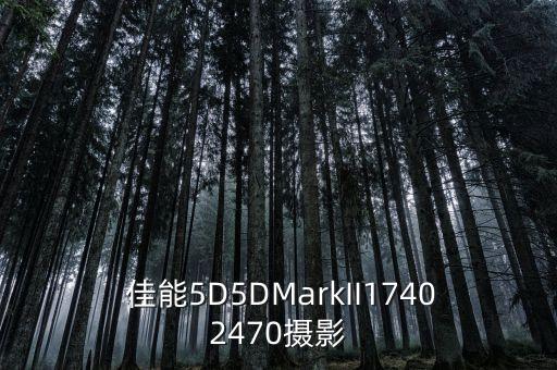  佳能5D5DMarkII17402470摄影