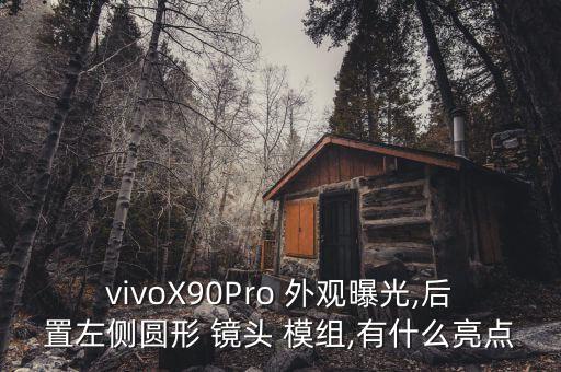 vivoX90Pro 外观曝光,后置左侧圆形 镜头 模组,有什么亮点